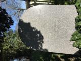 image of grave number 919690